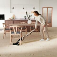 Electrolux WQ71-P52SS Well Q7 Şarjlı Dikey Süpürge