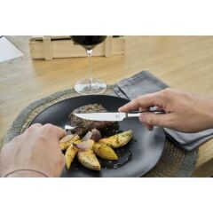 Zwilling 071503590 Specials Biftek Çatal Bıçak Seti 12 Parça