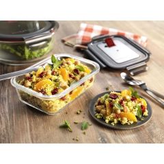 Zwilling 395060020 Cam Saklama Kabı 1,4 Lt. Kare