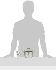 Zwilling 666531400 PICO Çelik Derin Tencere 14 cm